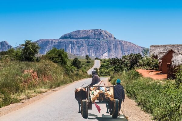 Shutterstock 1088435327 Betsileo people on zebu powered carts on National Route 7 between Ambalavao and Isalo Madagascar mindre