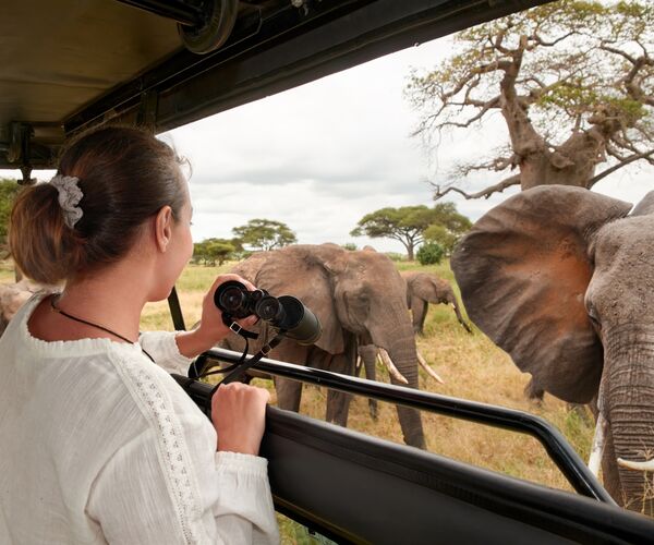 Shutterstock 2254350165 Tarangire