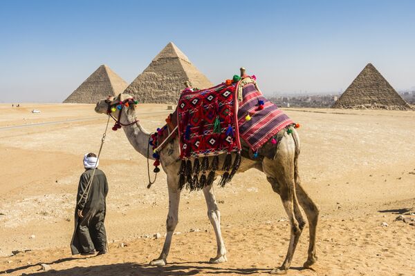 Pyramids Of Giza