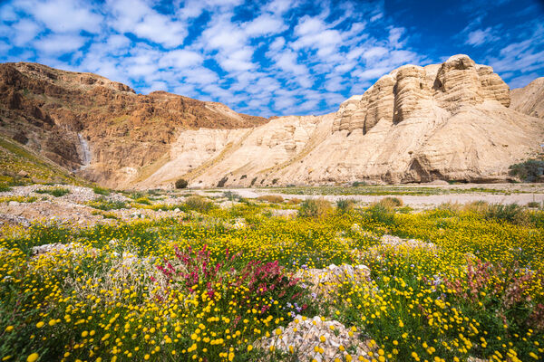 Vår landskapet ved Qumran mindre pix