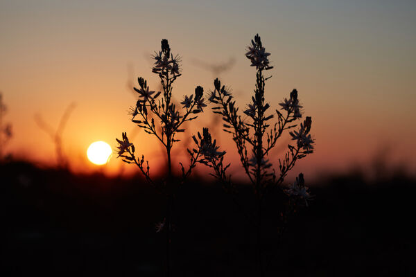 Solnedgang i samaria mindre pix