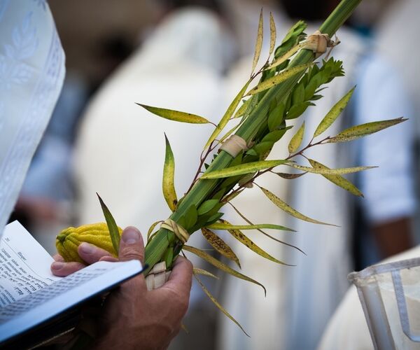 Sukkot 9 min pix