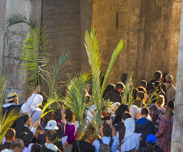 JLM inntog med palmegrener