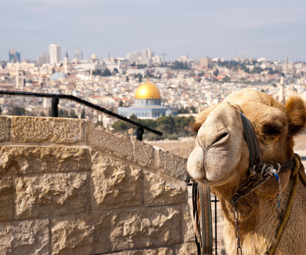Israel Jerusalem Kamel