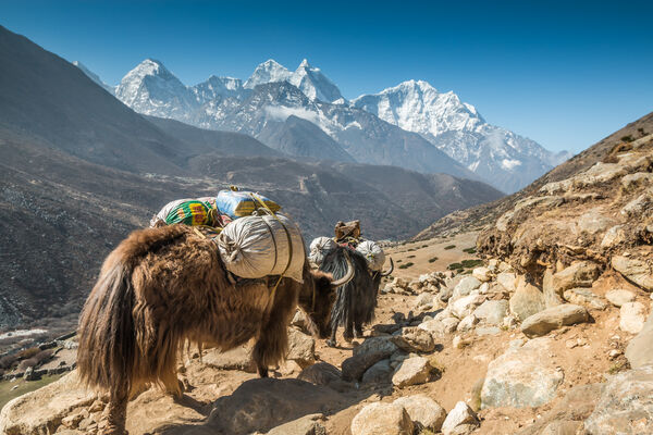 Nepal Himalaya 1