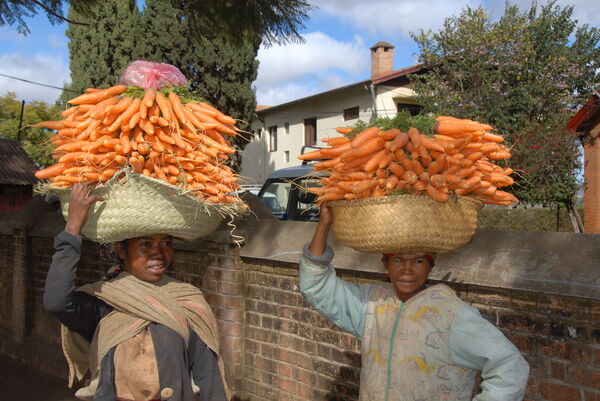 Madagaskar Antsirabe landbruk