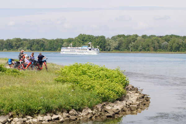 28494573047 7e254b543b o