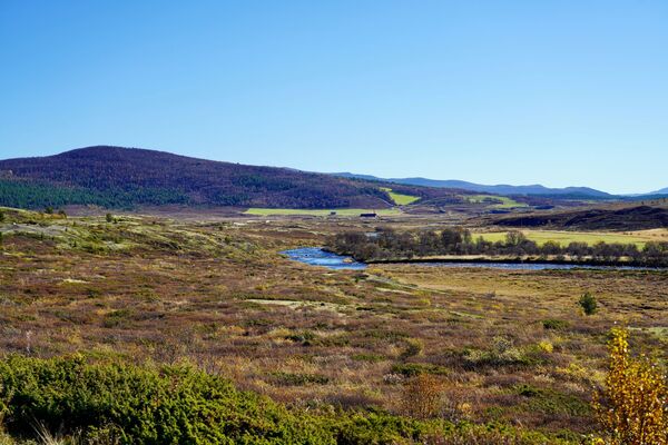 Hjerkinn
